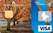 Service One Visa Credit Card
